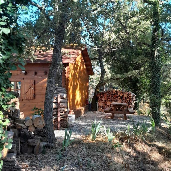 La Cabane En Bois Tourves エクステリア 写真