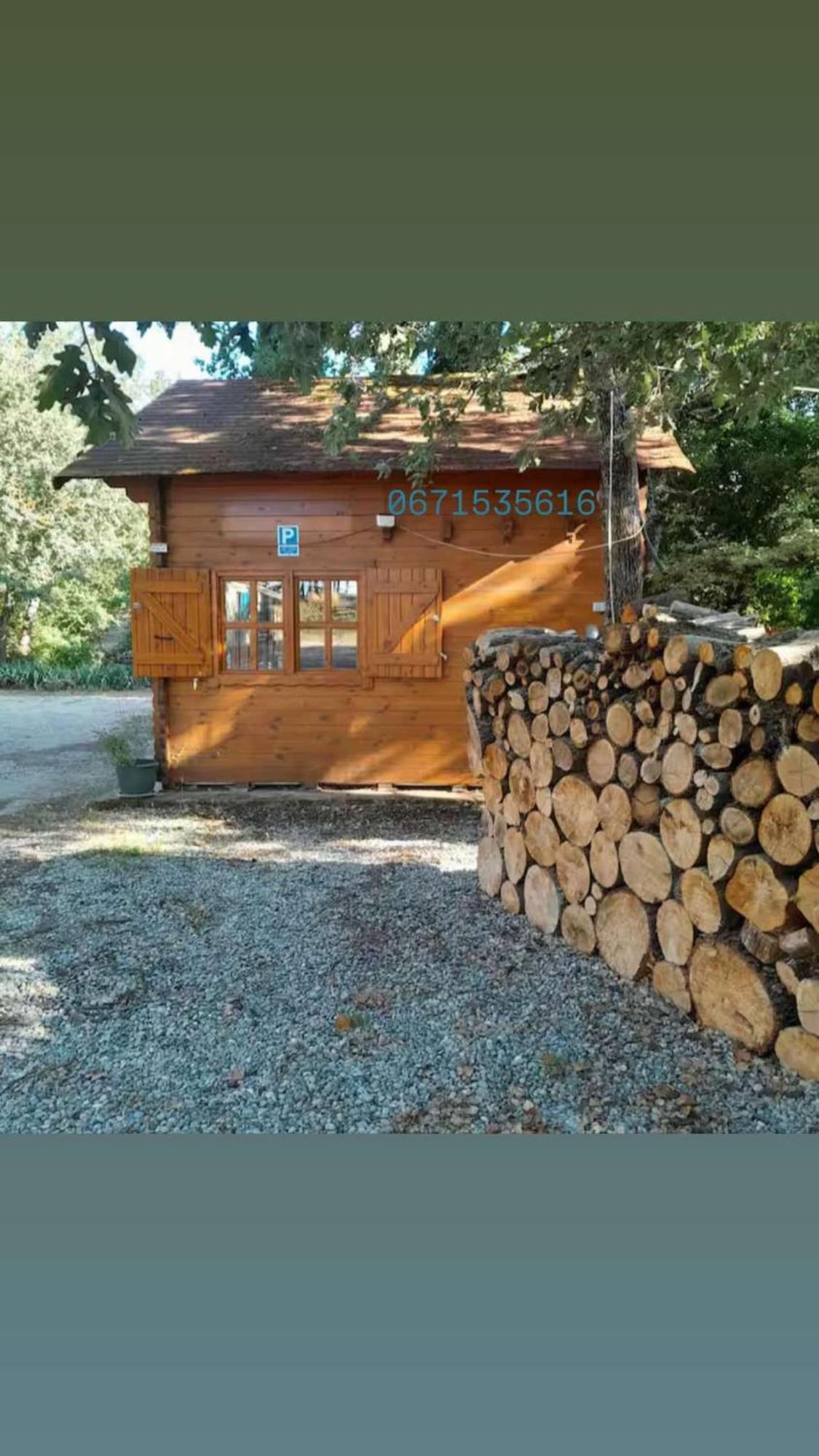 La Cabane En Bois Tourves エクステリア 写真